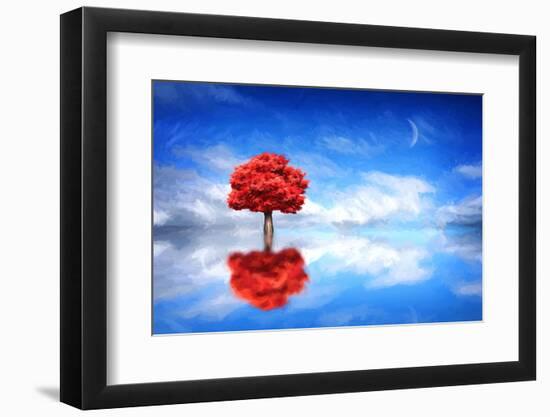 Photographic Print, , large