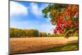 Photographic Print