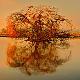 Premium Photographic Print
