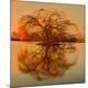 Premium Photographic Print
