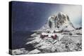 Stretched Canvas Print