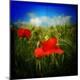 Photographic Print