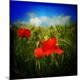 Photographic Print