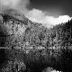 Premium Photographic Print