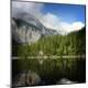 Premium Photographic Print