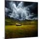 Premium Photographic Print