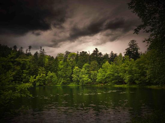 Premium Photographic Print, , large