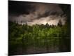 Premium Photographic Print