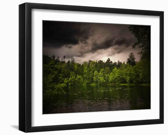 Photographic Print, , large