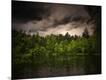 Photographic Print