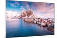 Photographic Print