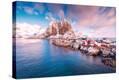 Stretched Canvas Print