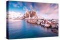 Stretched Canvas Print