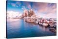 Stretched Canvas Print
