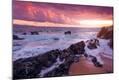 Photographic Print