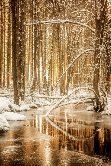 Premium Photographic Print, , large