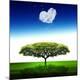 Premium Photographic Print