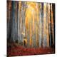 Premium Photographic Print