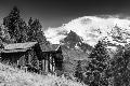 Premium Photographic Print