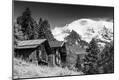 Photographic Print