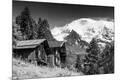 Photographic Print
