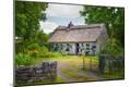 Photographic Print