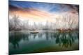 Photographic Print