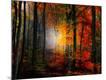 Premium Photographic Print