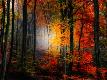Premium Photographic Print