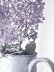 Premium Photographic Print