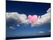 Premium Photographic Print