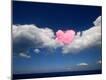 Photographic Print