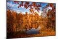 Photographic Print