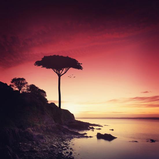 Photographic Print, , large
