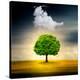 Stretched Canvas Print