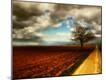 Photographic Print