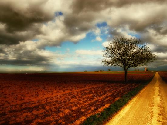 Photographic Print, , large