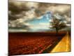 Photographic Print
