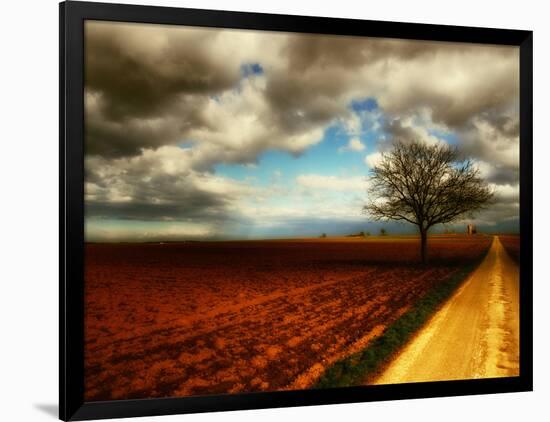 Photographic Print, , large