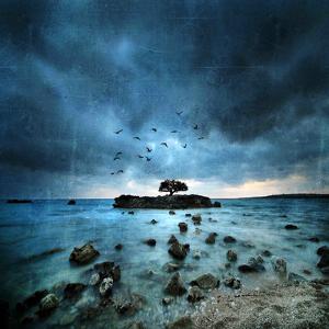 Misty Blue by Philippe Sainte-Laudy