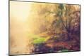 Photographic Print