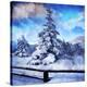 Stretched Canvas Print