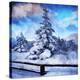 Stretched Canvas Print