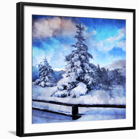 Photographic Print, , large