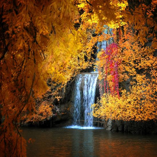 Premium Photographic Print, , large