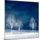 Premium Photographic Print