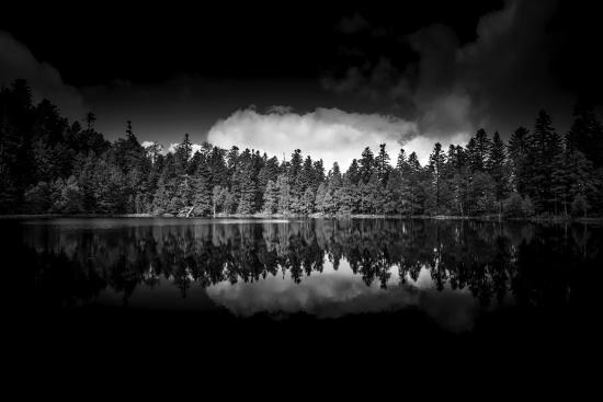 Photographic Print, , large