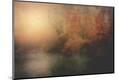 Photographic Print
