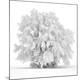 Premium Photographic Print