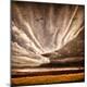 Premium Photographic Print
